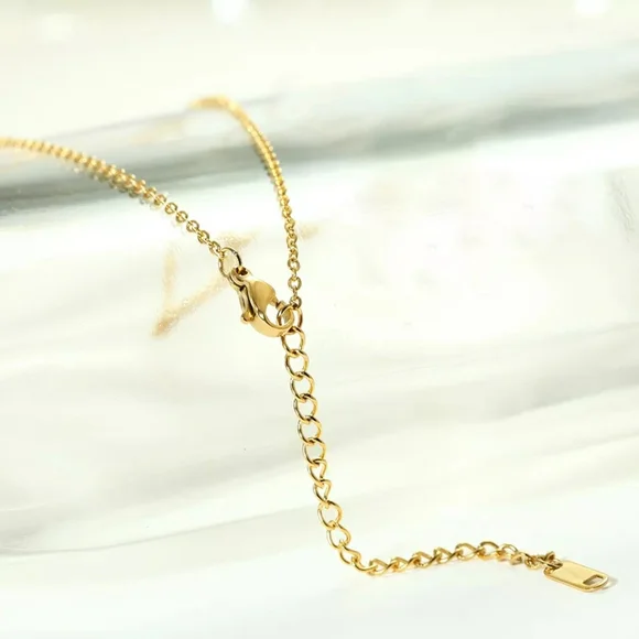 Initial Z 18k gold plated initial necklace - Picture 6 of 6